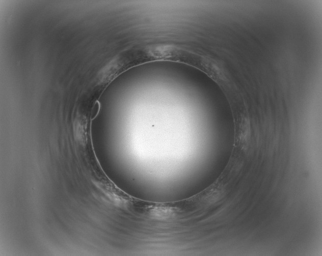 X0000078840332200611131155