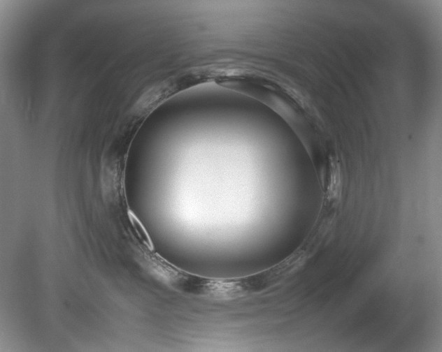 X0000078840333200611131155