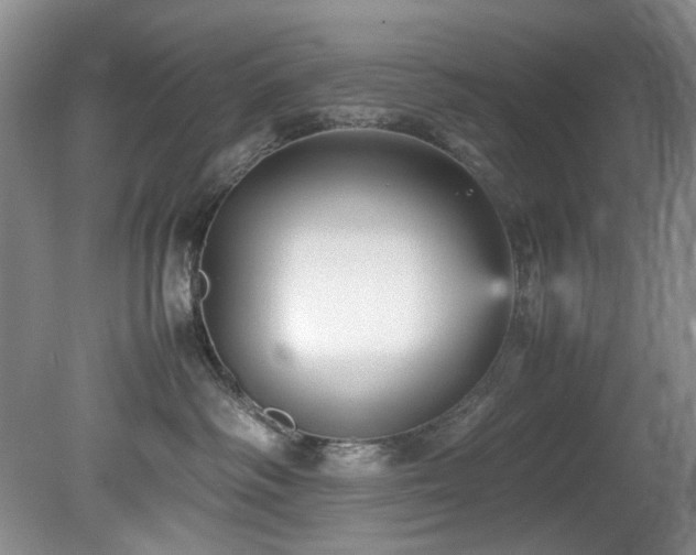 X0000078840334200611131155