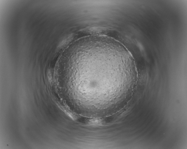 X0000078840335200611131155