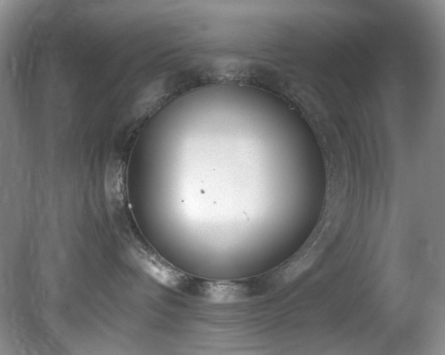 X0000078840336200611131155