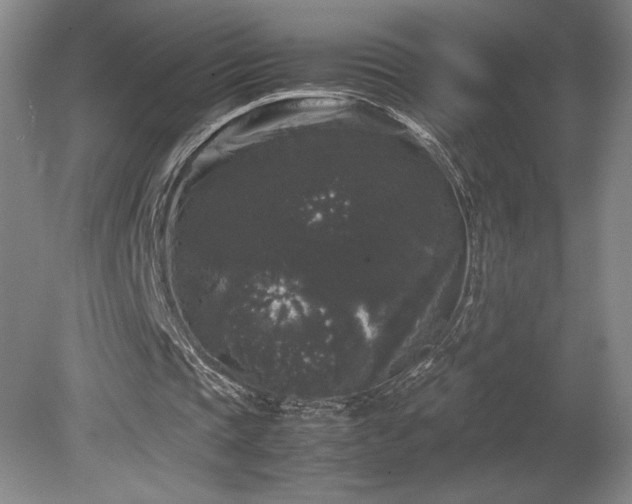 X0000078840337200611131154