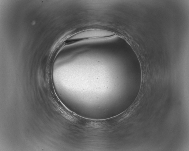 X0000078840341200611131154