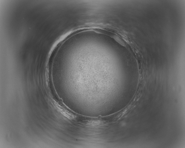 X0000078840342200611131154