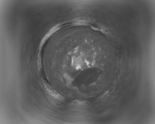 X0000078840343200611131154