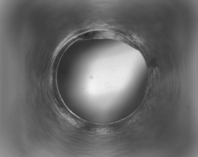 X0000078840344200611131154