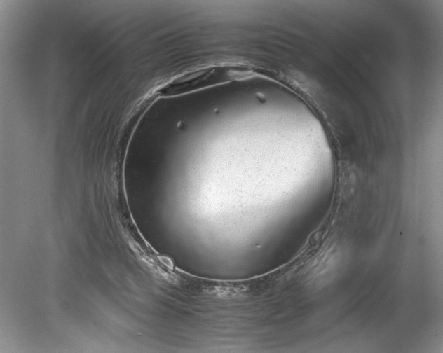 X0000078840345200611131154