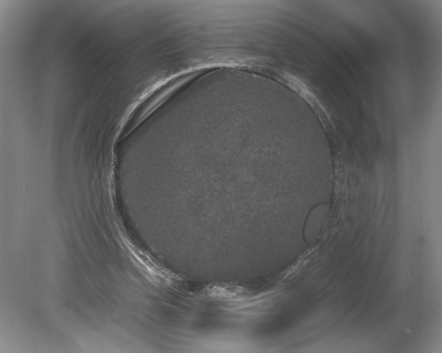 X0000078840346200611131154