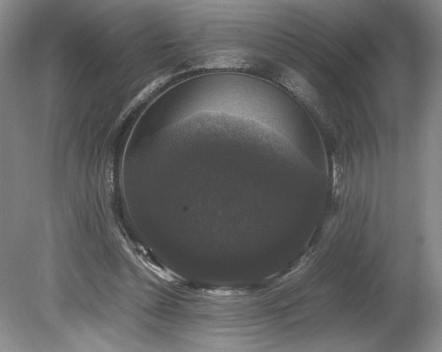 X0000078840348200611131154