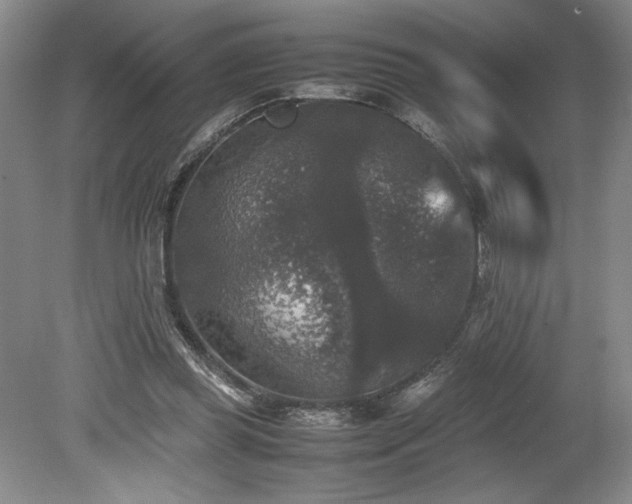 X0000078840349200611131154