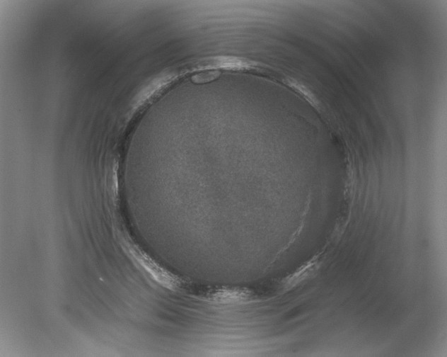 X0000078840350200611131154