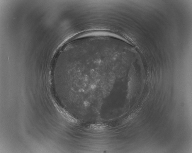 X0000078840351200611131154