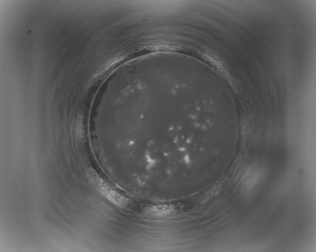 X0000078840353200611131154