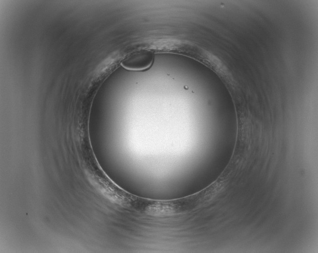 X0000078840354200611131154