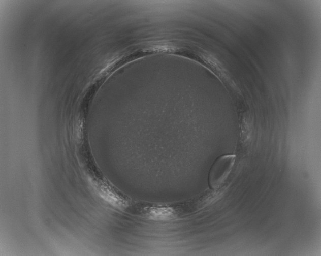 X0000078840355200611131154