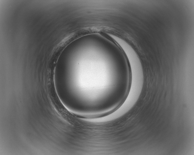 X0000078840356200611131154