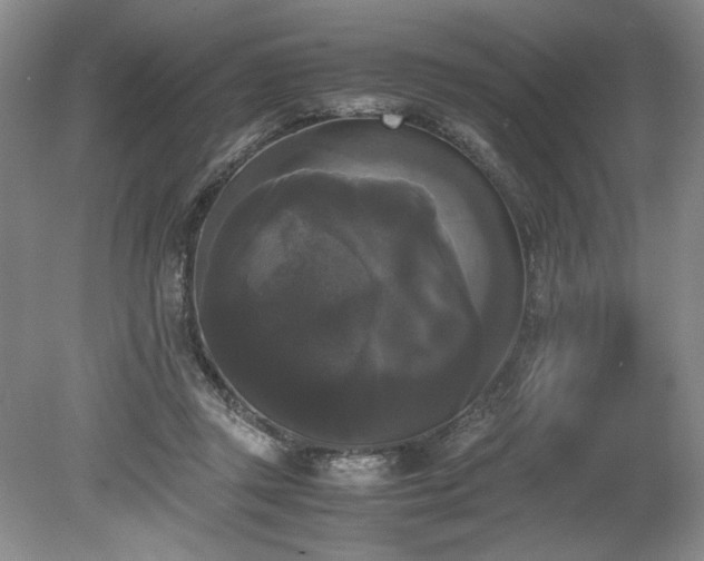 X0000078840357200611131154