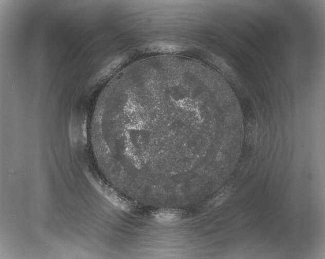 X0000078840358200611131154
