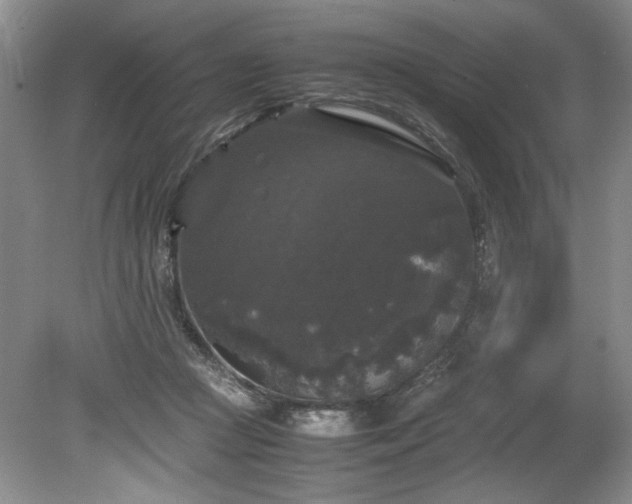 X0000078840361200611131155