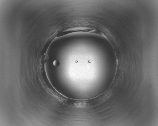 X0000078840362200611131155