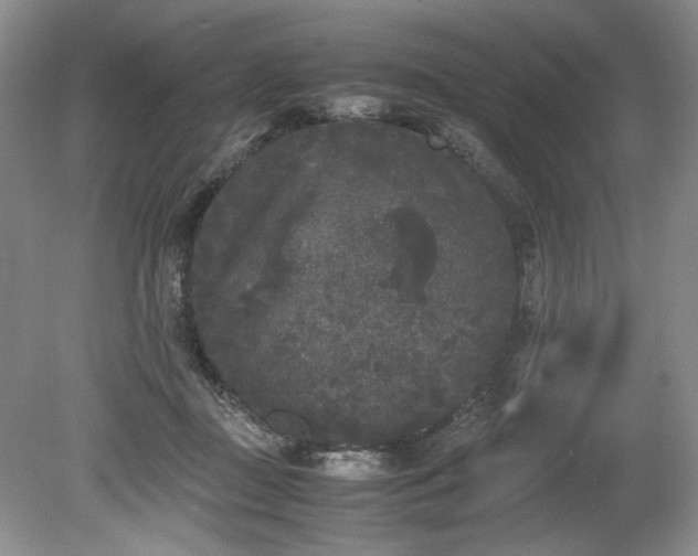 X0000078840363200611131155