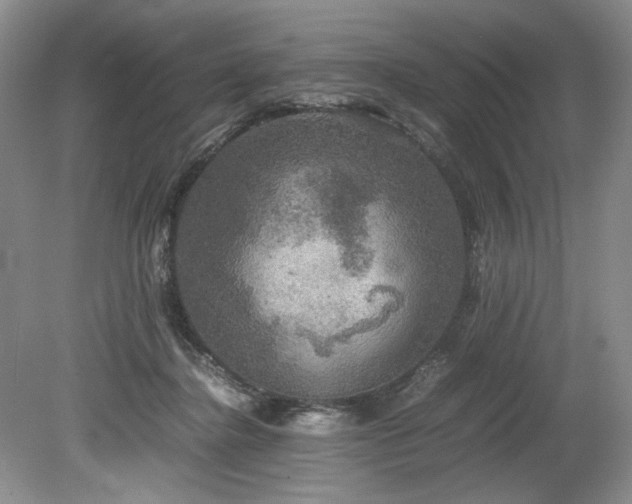 X0000078840364200611131155