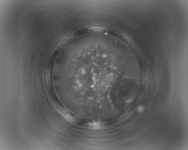 X0000078840365200611131155