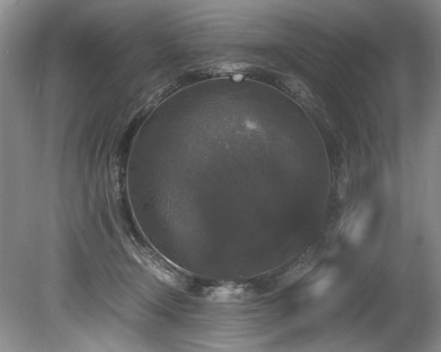 X0000078840366200611131155