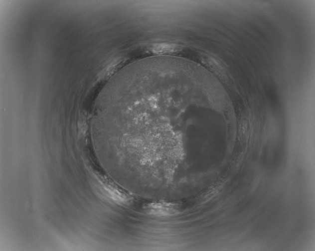 X0000078840367200611131155