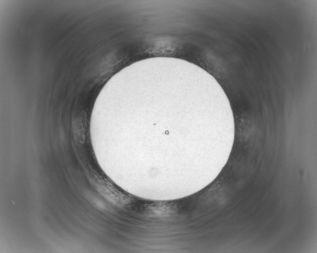 X0000078840370200611131155