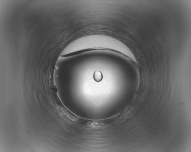 X0000078840372200611131155