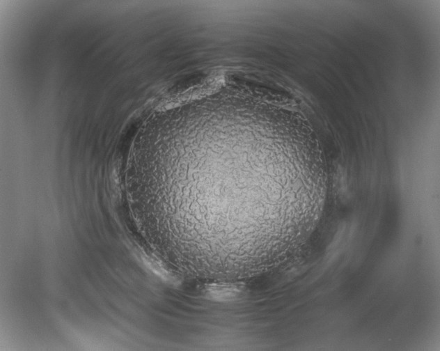 X0000078840373200611131155