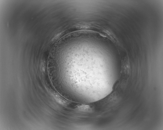 X0000078840374200611131155