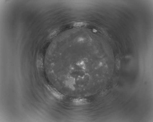 X0000078840375200611131155