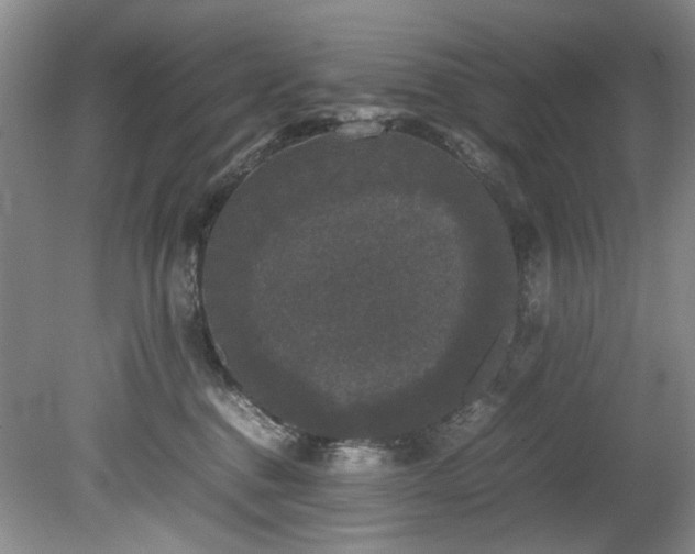 X0000078840376200611131155