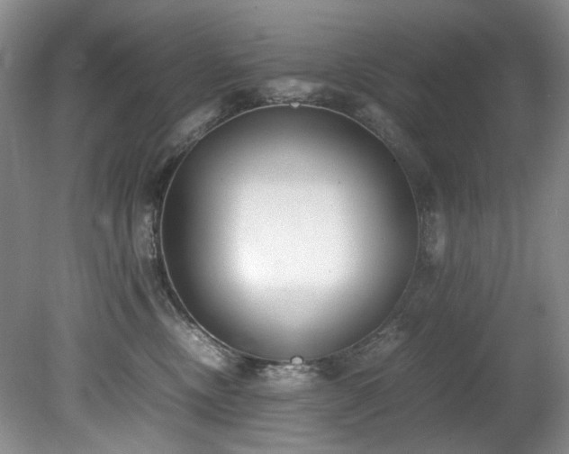 X0000078840378200611131155