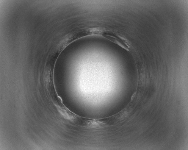 X0000078840379200611131155