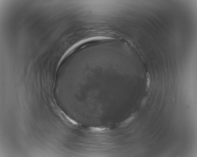 X0000078840380200611131155