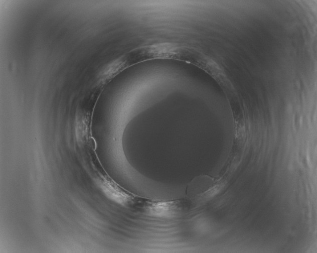 X0000078840382200611131155