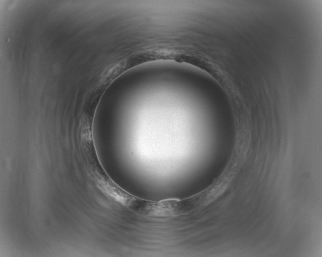 X0000078840384200611131155