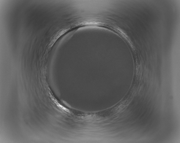 X0000078840385200611131154