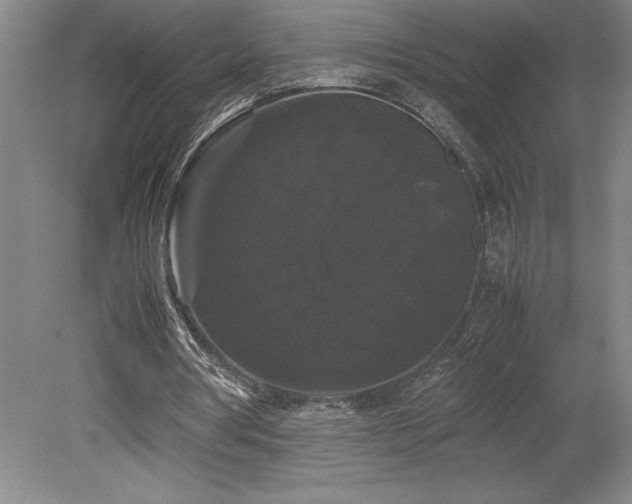 X0000078840386200611131154