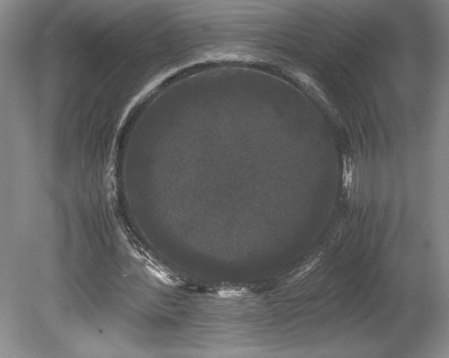 X0000078840388200611131154