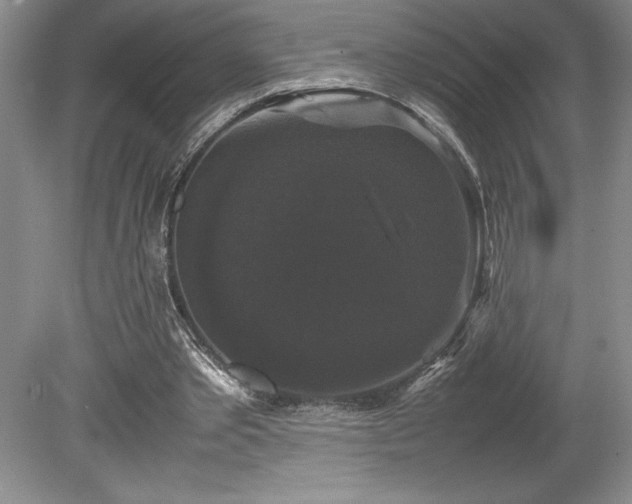 X0000078840389200611131154