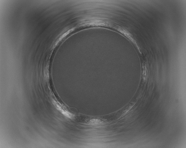 X0000078840390200611131154