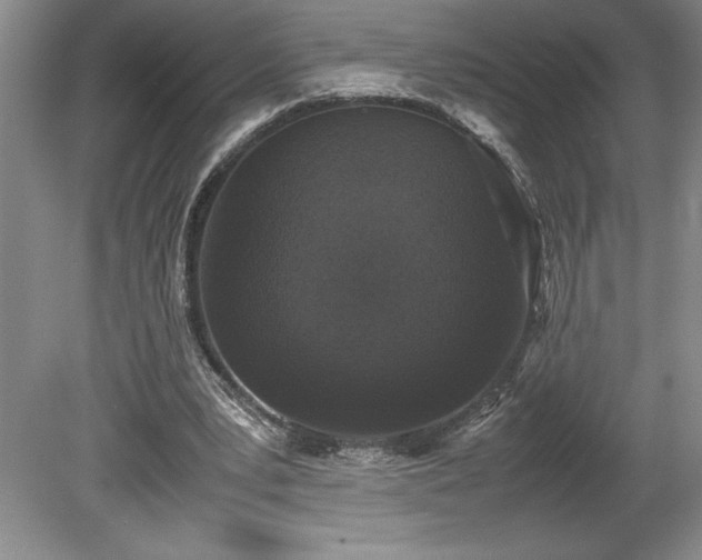 X0000078840391200611131154