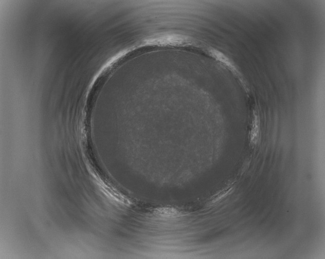 X0000078840392200611131154