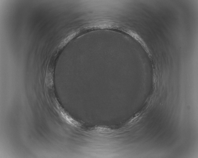 X0000078840393200611131154