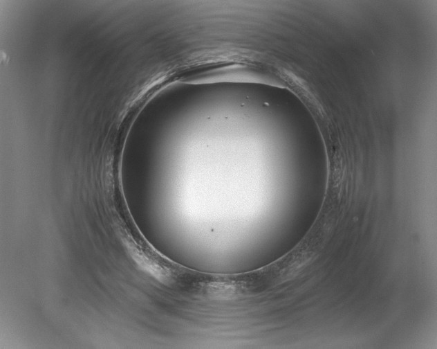 X0000078840394200611131154