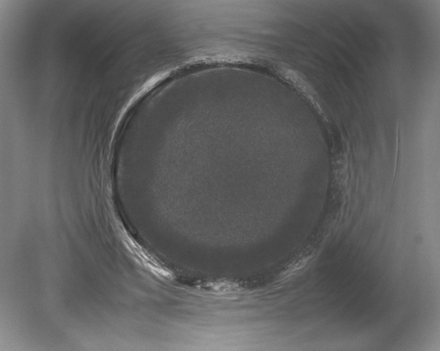 X0000078840395200611131154